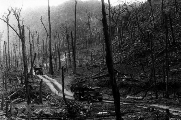 Đảng Ủy - Page 8 of 186 - Đảng bộ Satra