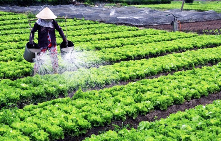 Tin tức - Đảng bộ Satra